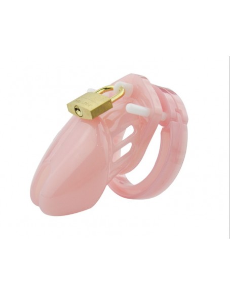 3d Printer Chastity Cage with 5 Size Rings, Pink, Brass Lock Locking