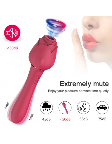 Red Dual Stimulation 2 in 1 Sexual Toy Rose Clitoral Sucking Vibration Adult Sex Toys for Women, High-frequency G-spot Rose Massager, 10 Vibration Modes, 5 Sucking Modes Vaginal Dildo Vibrator
